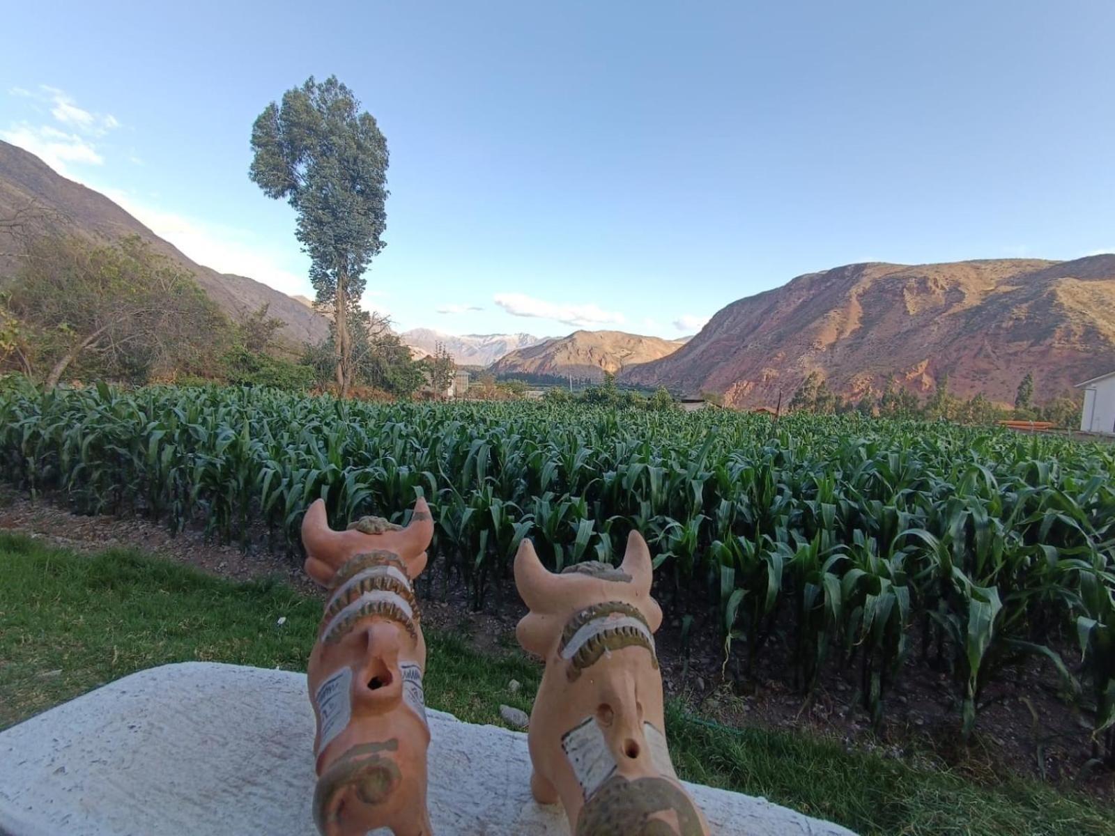 Casa Yanahuara Valle Sagrado - Urubamba Dış mekan fotoğraf